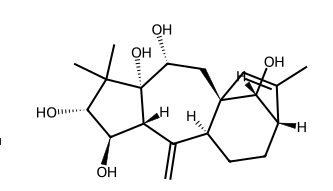 羊躑躅素XIX